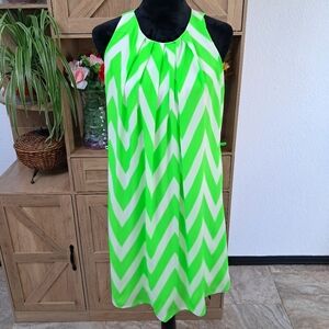 NWT Pink Owl Knee Length Dress Neon Green & White Chevron Pattern Lined Retro